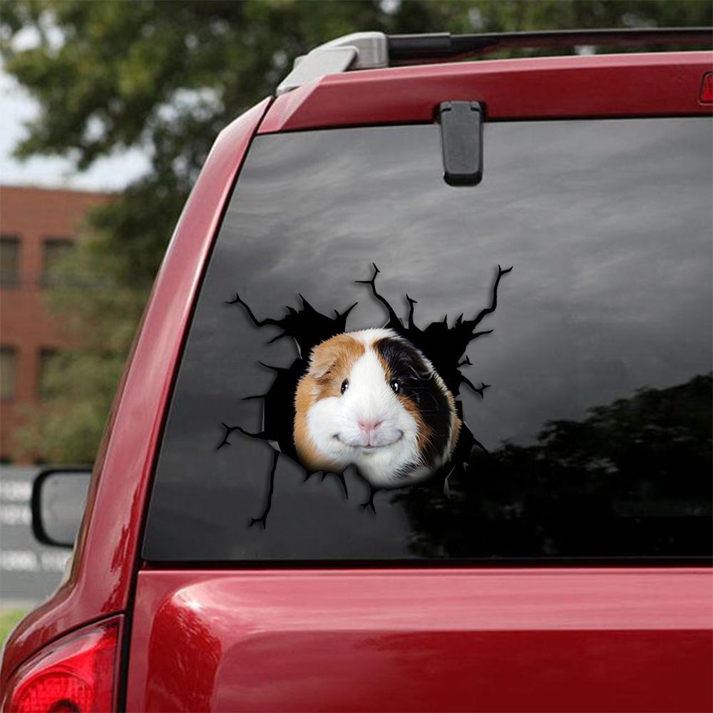 Guinea Pig Car Sticker 9