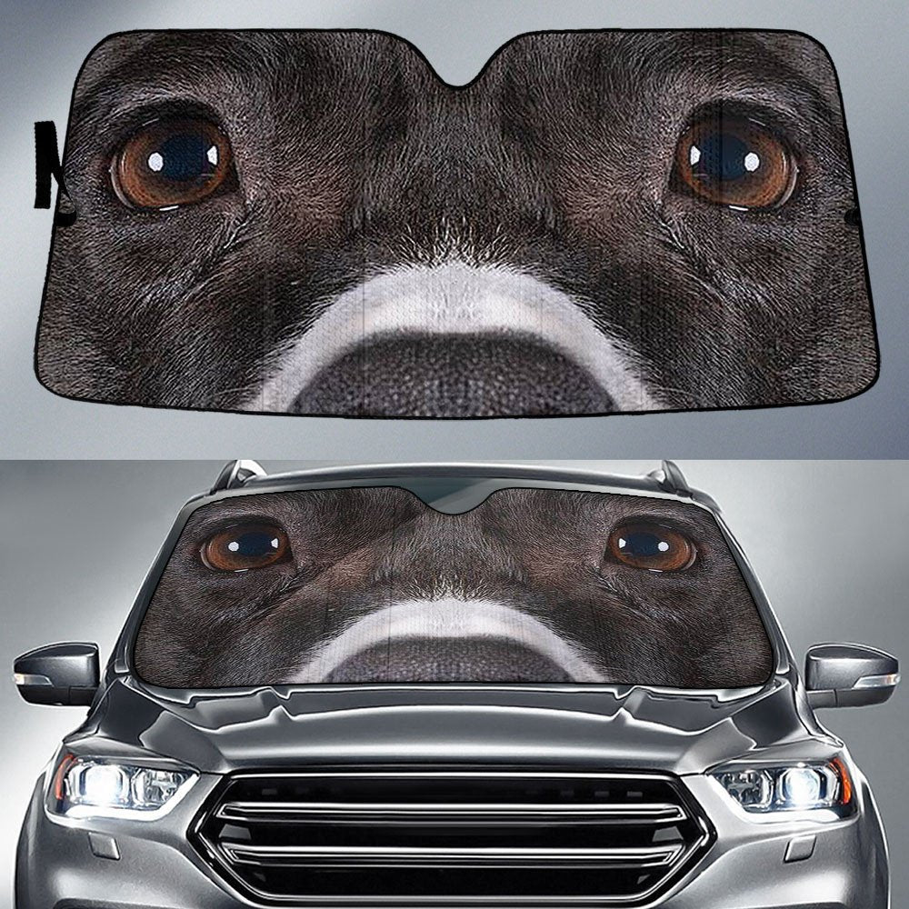 American Staffordshire Terrier's Eyes-2-Beautiful Dog Eyes Car Sun Shade Cover Auto Windshield