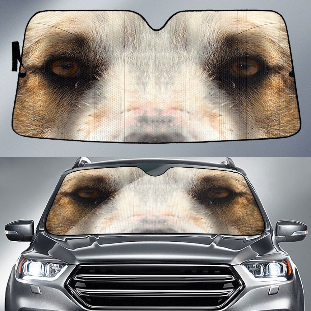Bernese Mountain's Eyes-2-Beautiful Dog Eyes Car Sun Shade Cover Auto Windshield