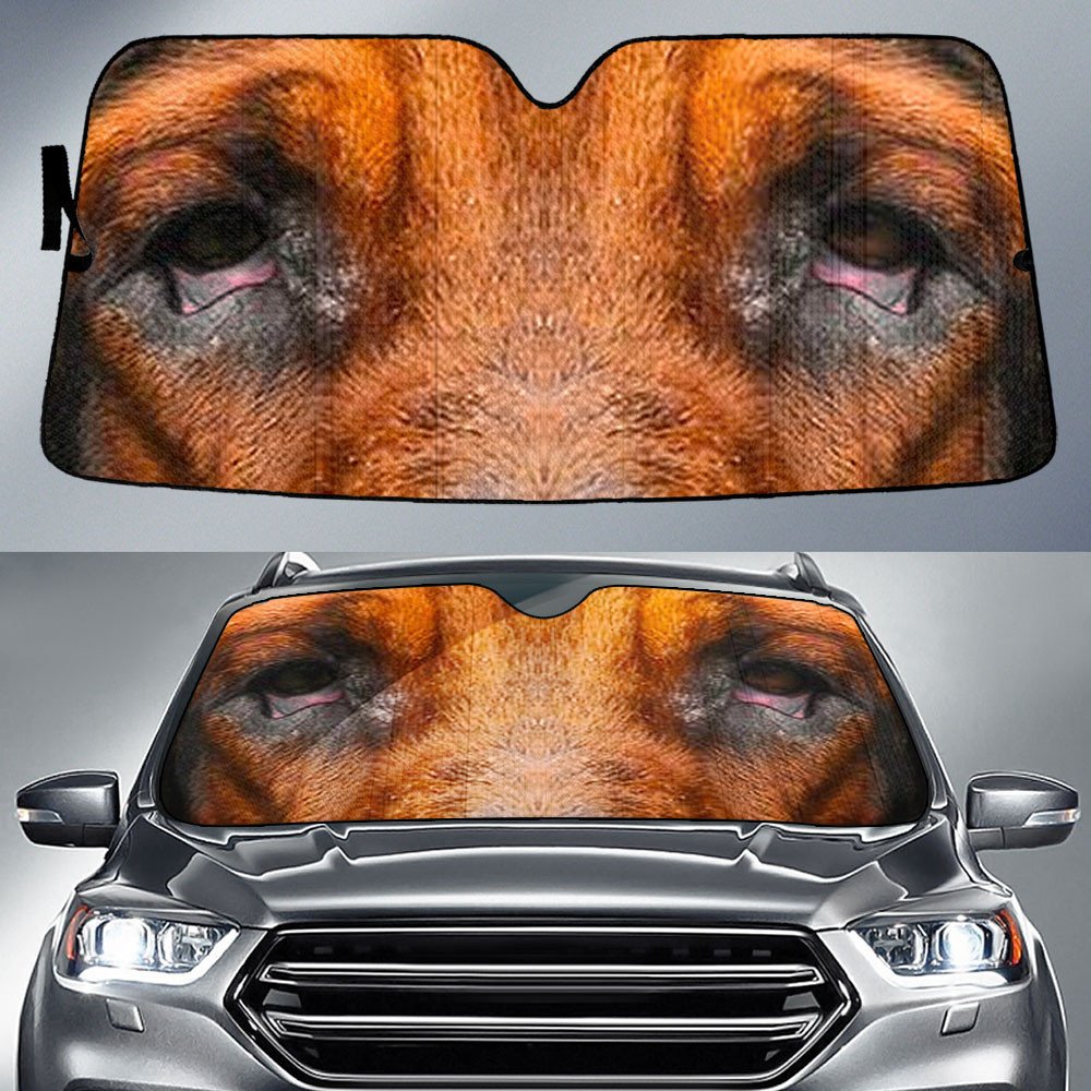 Bloodhound's Eyes-2-Beautiful Dog Eyes Car Sun Shade Cover Auto Windshield