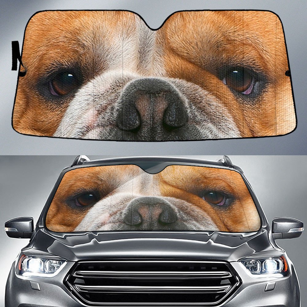 Bulldog's Eyes-2-Beautiful Dog Eyes Car Sun Shade Cover Auto Windshield