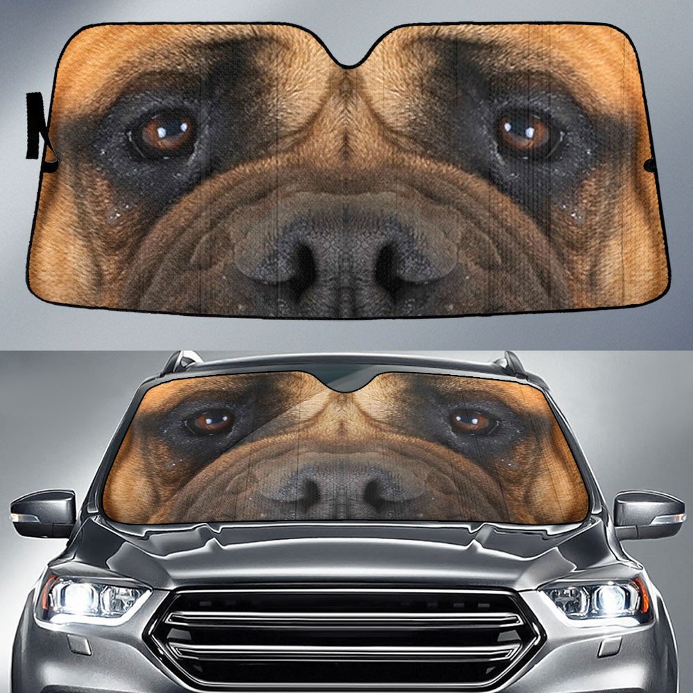Bullmastiff's Eyes-2-Beautiful Dog Eyes Car Sun Shade Cover Auto Windshield