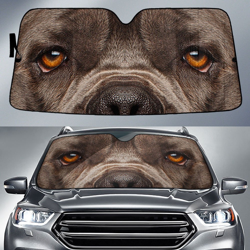 Cane Corso's Eyes-2-Beautiful Dog Eyes Car Sun Shade Cover Auto Windshield