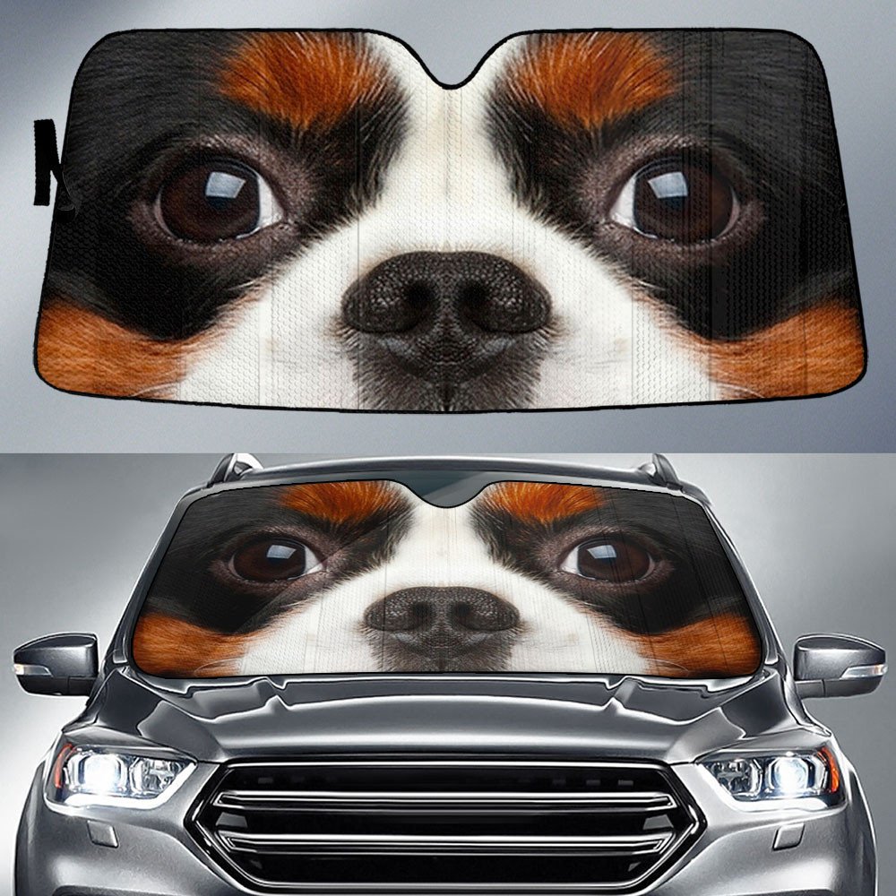 Cavalier King Charles Spaniel's Eyes-2-Beautiful Dog Eyes Car Sun Shade Cover Auto Windshield
