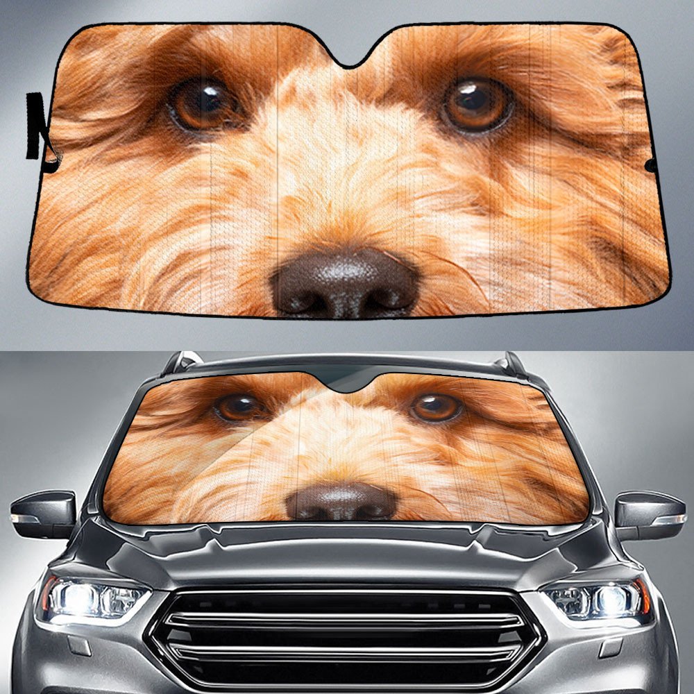 Cavapoo's Eyes-2-Beautiful Dog Eyes Car Sun Shade Cover Auto Windshield