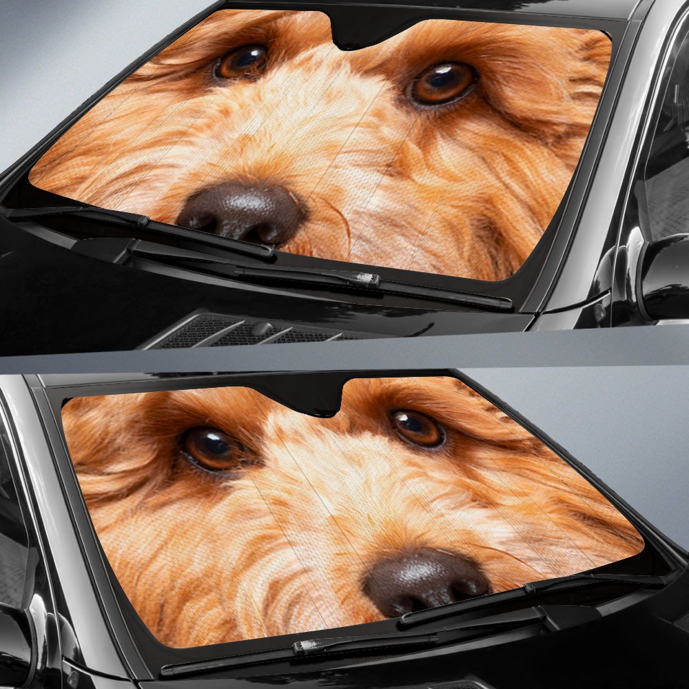 Cavapoo's Eyes-2-Beautiful Dog Eyes Car Sun Shade Cover Auto Windshield