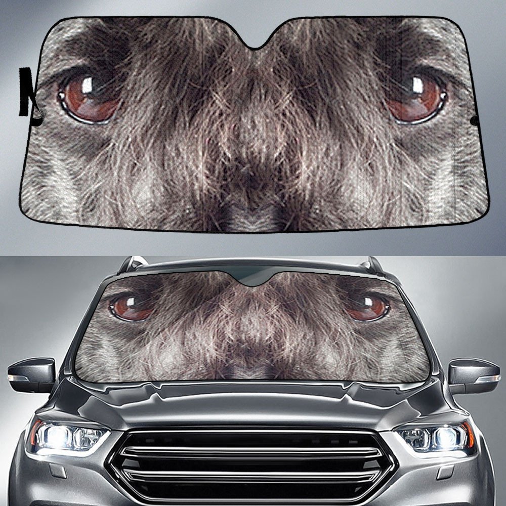 Cesky Terrier's Eyes-2-Beautiful Dog Eyes Car Sun Shade Cover Auto Windshield