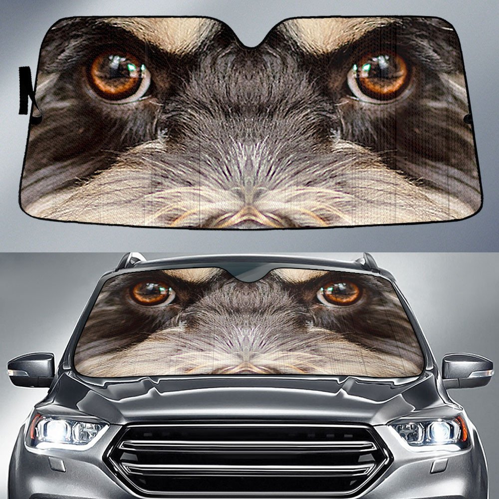 Cockapoo's Eyes-2-Beautiful Dog Eyes Car Sun Shade Cover Auto Windshield