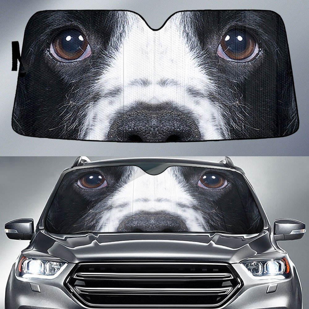 Cocker Spaniel's Eyes-2-Beautiful Dog Eyes Car Sun Shade Cover Auto Windshield