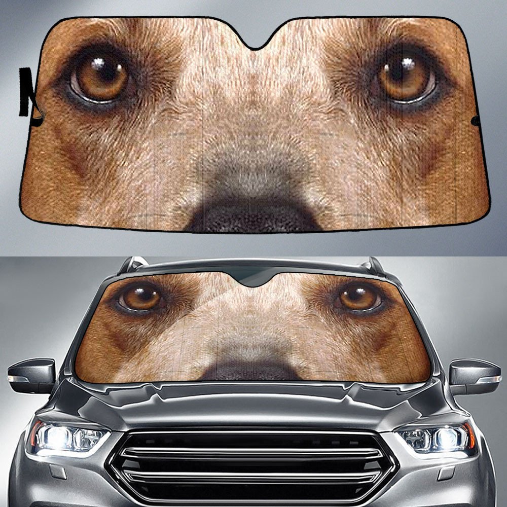 Coonhound's Eyes-2-Beautiful Dog Eyes Car Sun Shade Cover Auto Windshield