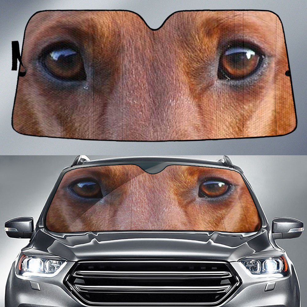 Dachshund's Eyes-2-Beautiful Dog Eyes Car Sun Shade Cover Auto Windshield
