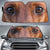 Dachshund's Eyes-2-Beautiful Dog Eyes Car Sun Shade Cover Auto Windshield