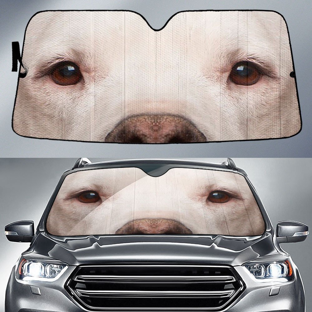 Argentino's Eyes-2-Beautiful Dog Eyes Car Sun Shade Cover Auto Windshield
