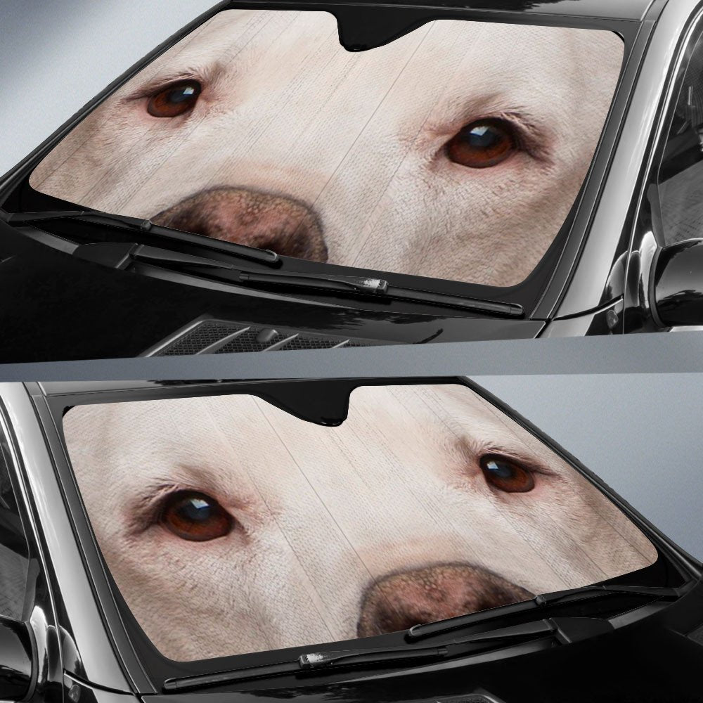 Argentino's Eyes-2-Beautiful Dog Eyes Car Sun Shade Cover Auto Windshield