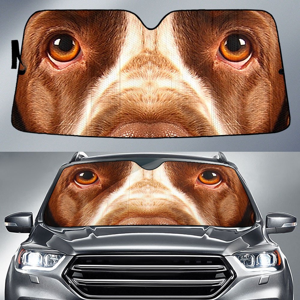 English Springer Spaniel's Eyes-2-Beautiful Dog Eyes Car Sun Shade Cover Auto Windshield