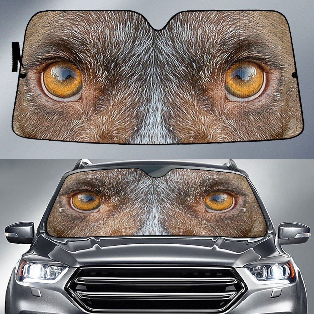 German Shorthaired Pointer's Eyes-2-Beautiful Dog Eyes Car Sun Shade Cover Auto Windshield