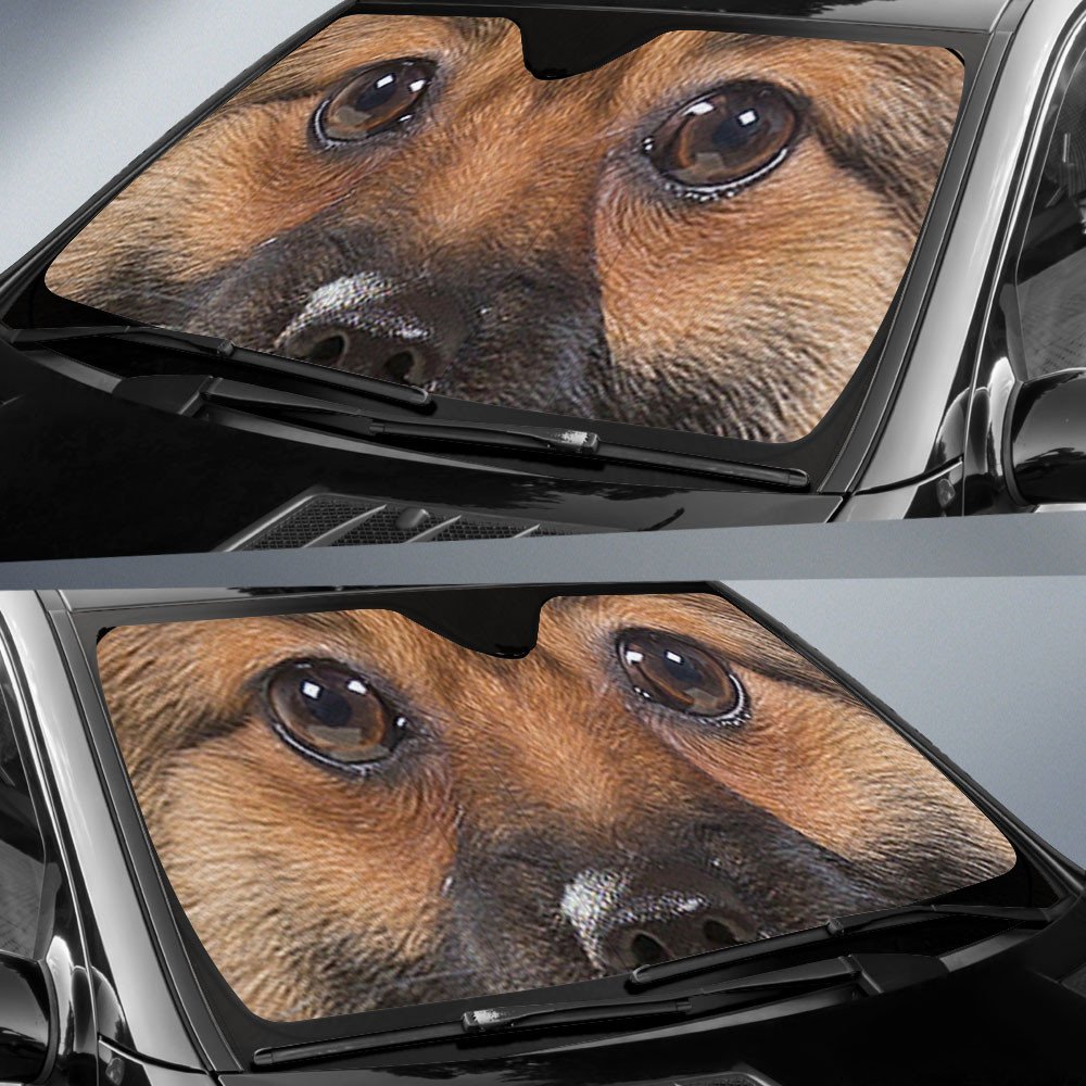 Keeshound's Eyes-2-Beautiful Dog Eyes Car Sun Shade Cover Auto Windshield