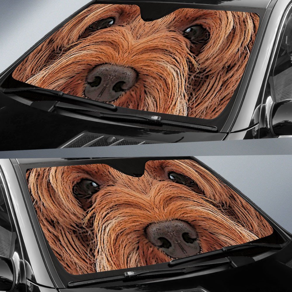 Labradoodle's Eyes-2-Beautiful Dog Eyes Car Sun Shade Cover Auto Windshield