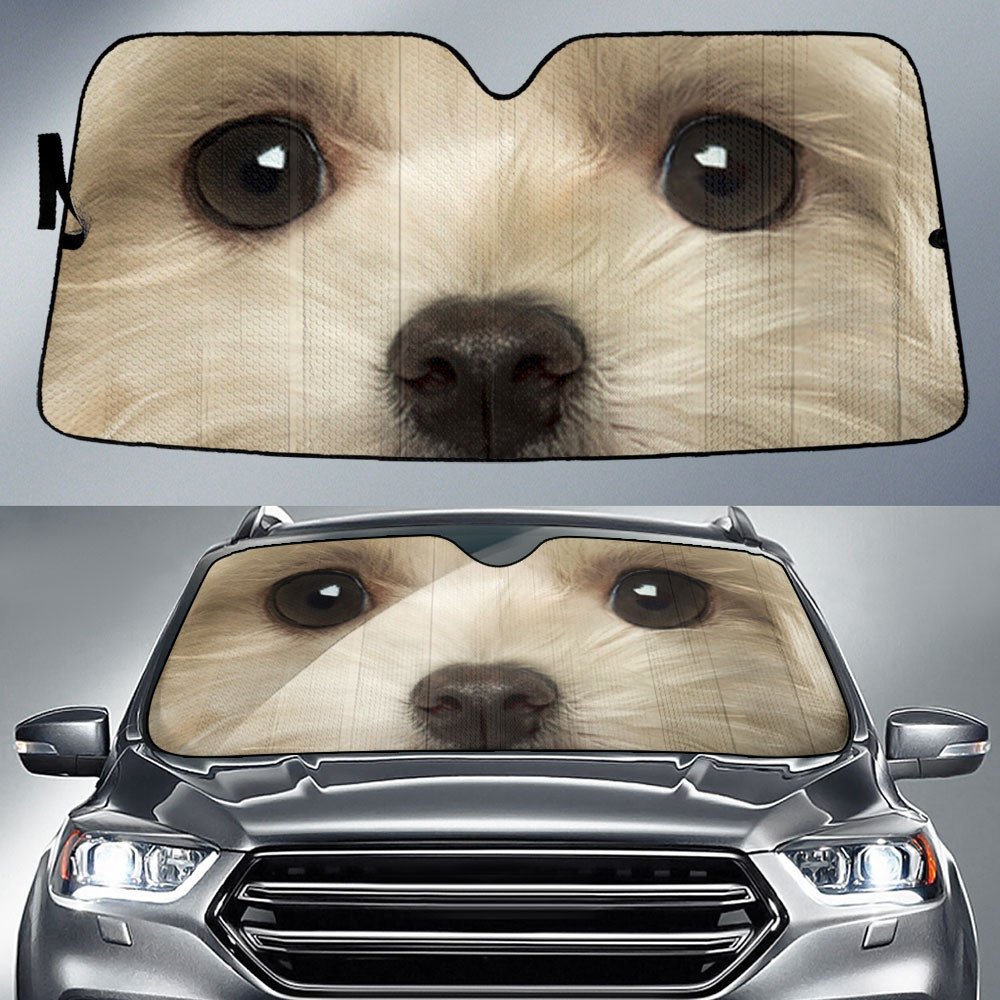 Maltese's Eyes-2-Beautiful Dog Eyes Car Sun Shade Cover Auto Windshield