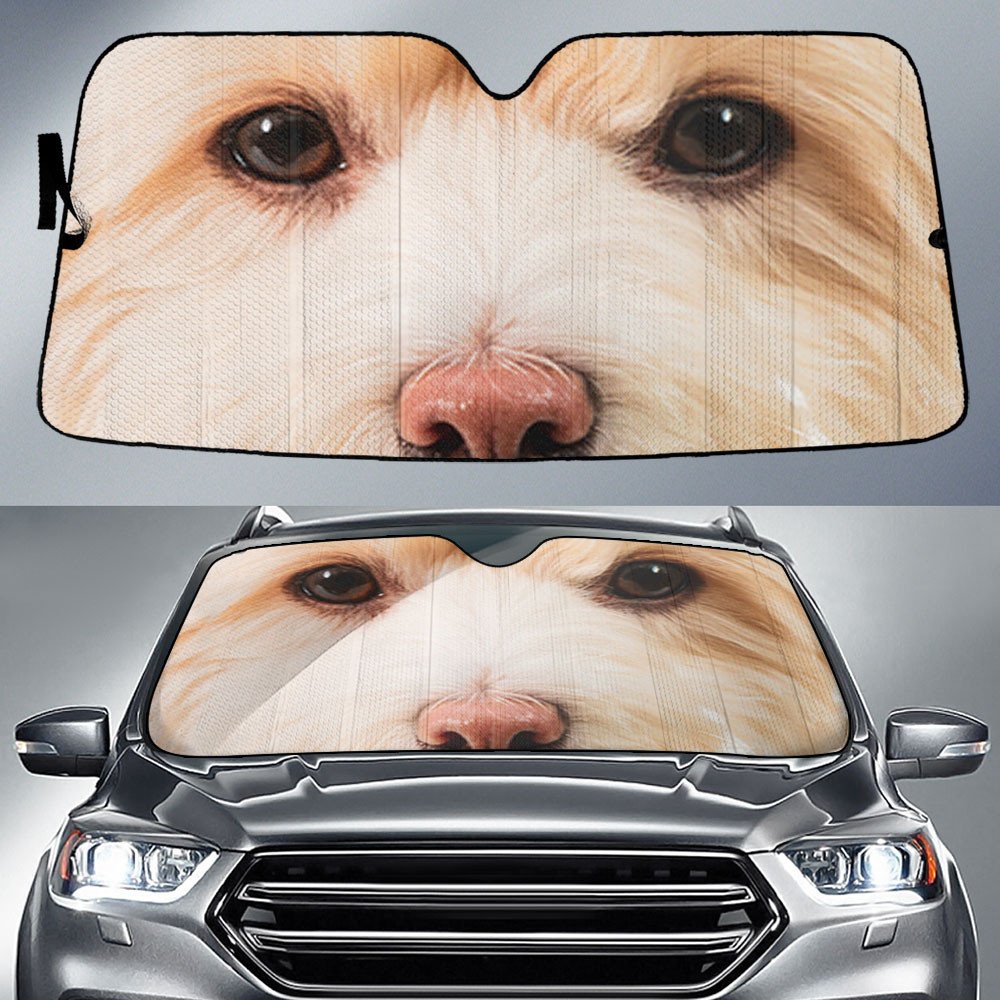 Maltipoo's Eyes-2-Beautiful Dog Eyes Car Sun Shade Cover Auto Windshield