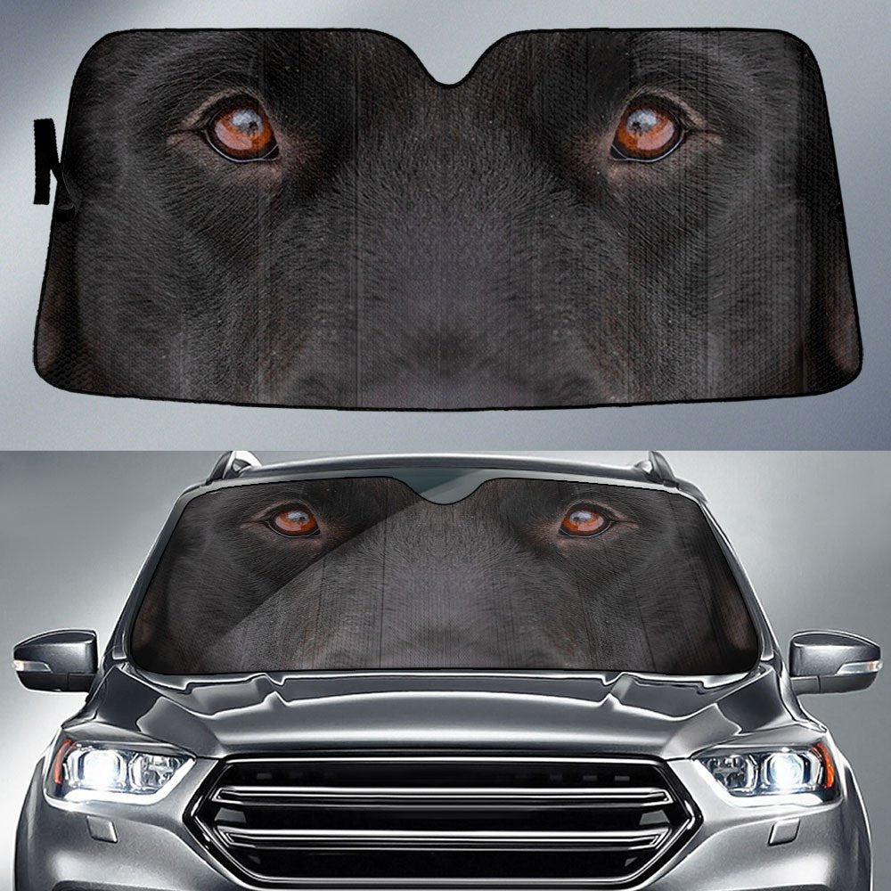 Newfoundland's Eyes-2-Beautiful Dog Eyes Car Sun Shade Cover Auto Windshield