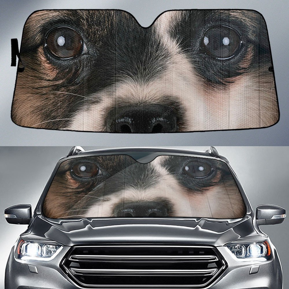 Papillon's Eyes-2-Beautiful Dog Eyes Car Sun Shade Cover Auto Windshield