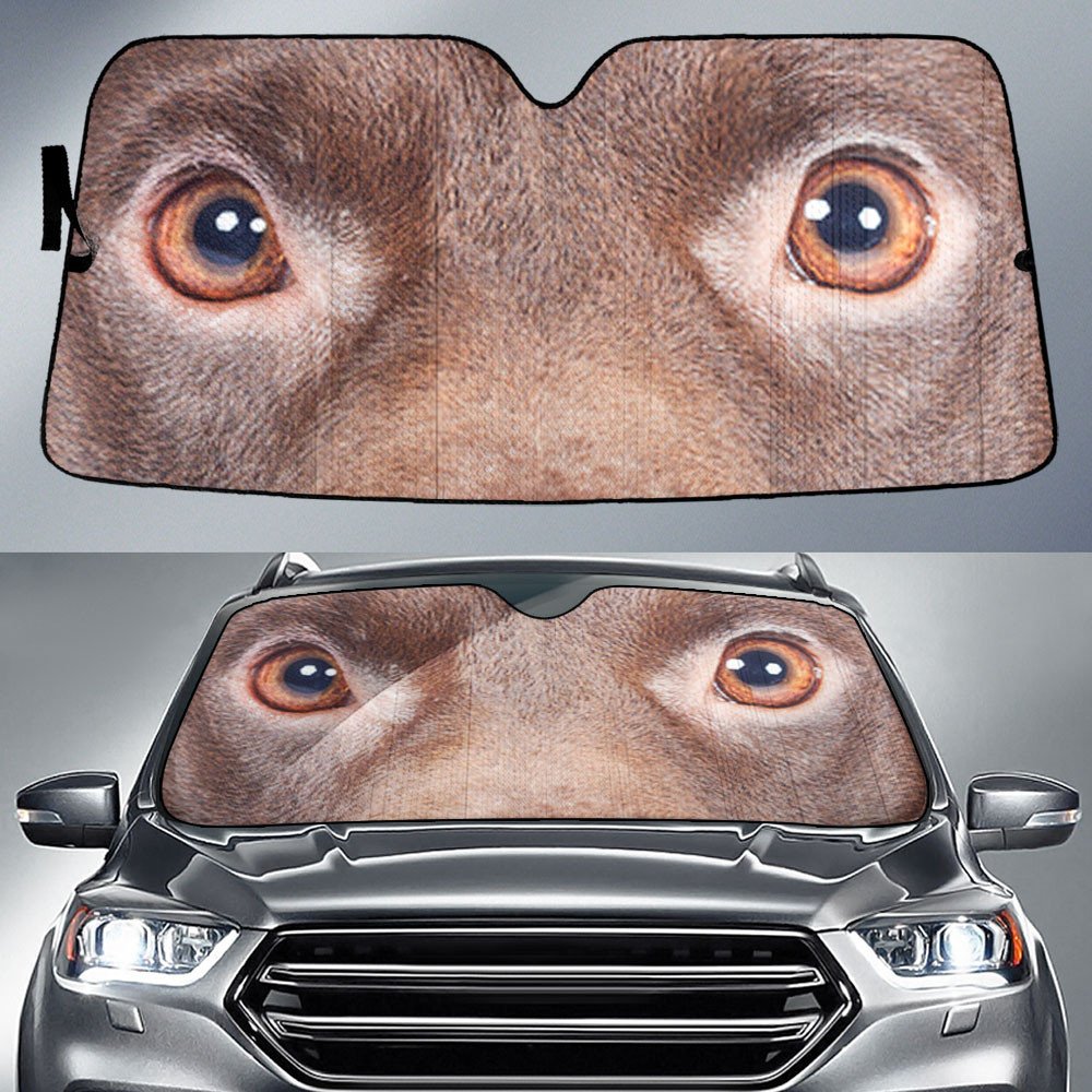 Patterdale Terrier's Eyes-2-Beautiful Dog Eyes Car Sun Shade Cover Auto Windshield