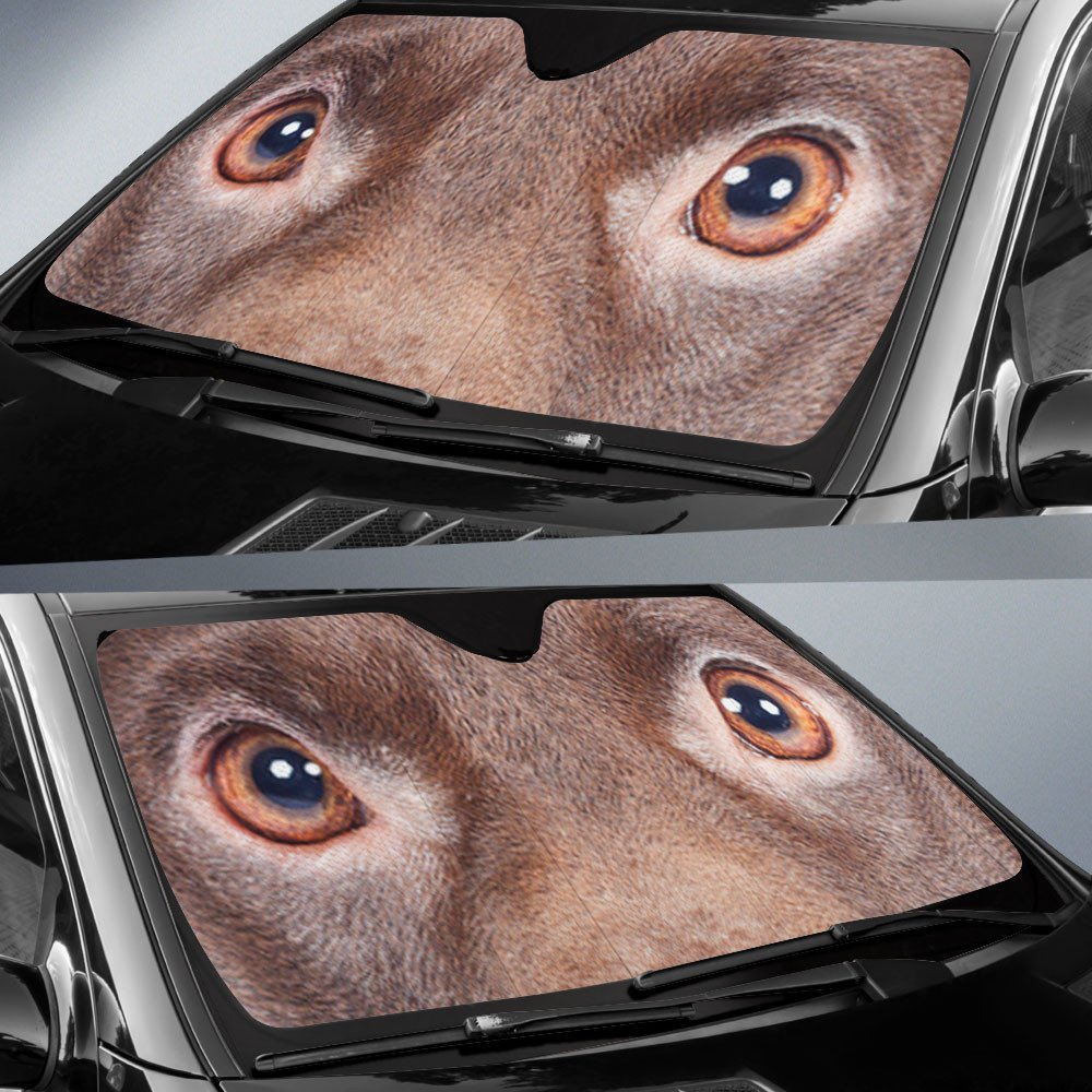 Patterdale Terrier's Eyes-2-Beautiful Dog Eyes Car Sun Shade Cover Auto Windshield