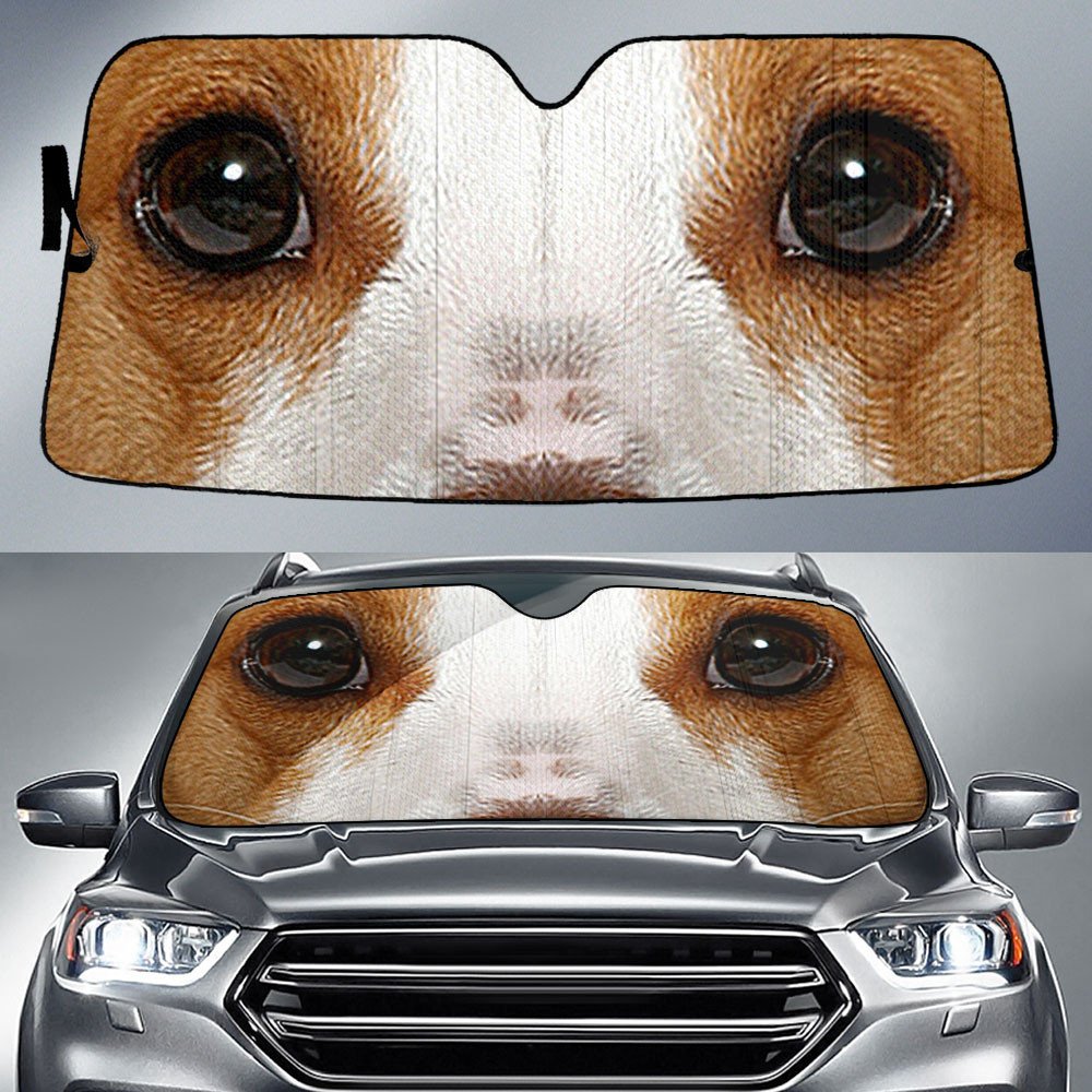 Rat Terrier's Eyes-2-Beautiful Dog Eyes Car Sun Shade Cover Auto Windshield