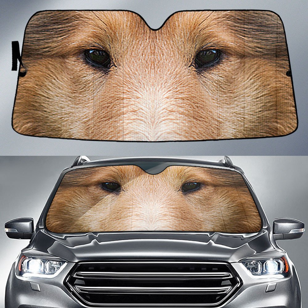 Rough Collie's Eyes-2-Beautiful Dog Eyes Car Sun Shade Cover Auto Windshield
