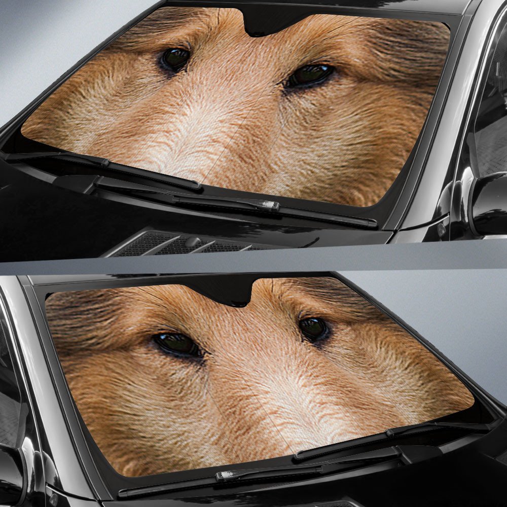 Rough Collie's Eyes-2-Beautiful Dog Eyes Car Sun Shade Cover Auto Windshield