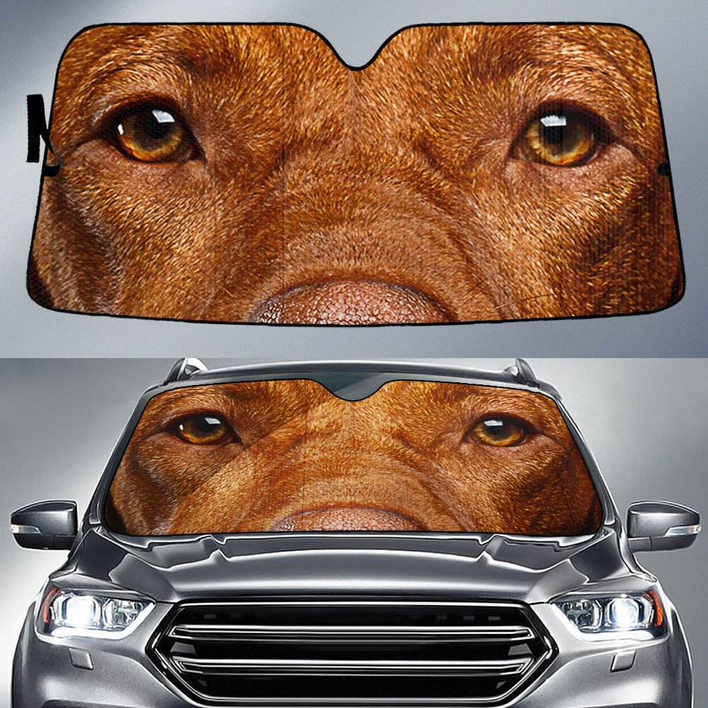 Vizsla's Eyes-2-Beautiful Dog Eyes Car Sun Shade Cover Auto Windshield