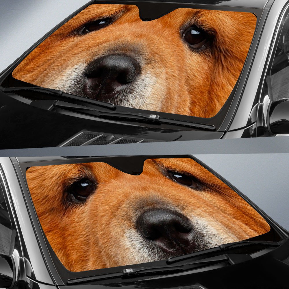 Chow Chow's Eyes-2-Beautiful Dog Eyes Car Sun Shade Cover Auto Windshield