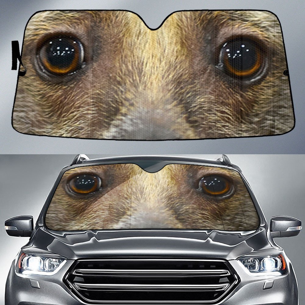 Peruvian Inca Orchid's Eyes-2-Beautiful Dog Eyes Car Sun Shade Cover Auto Windshield