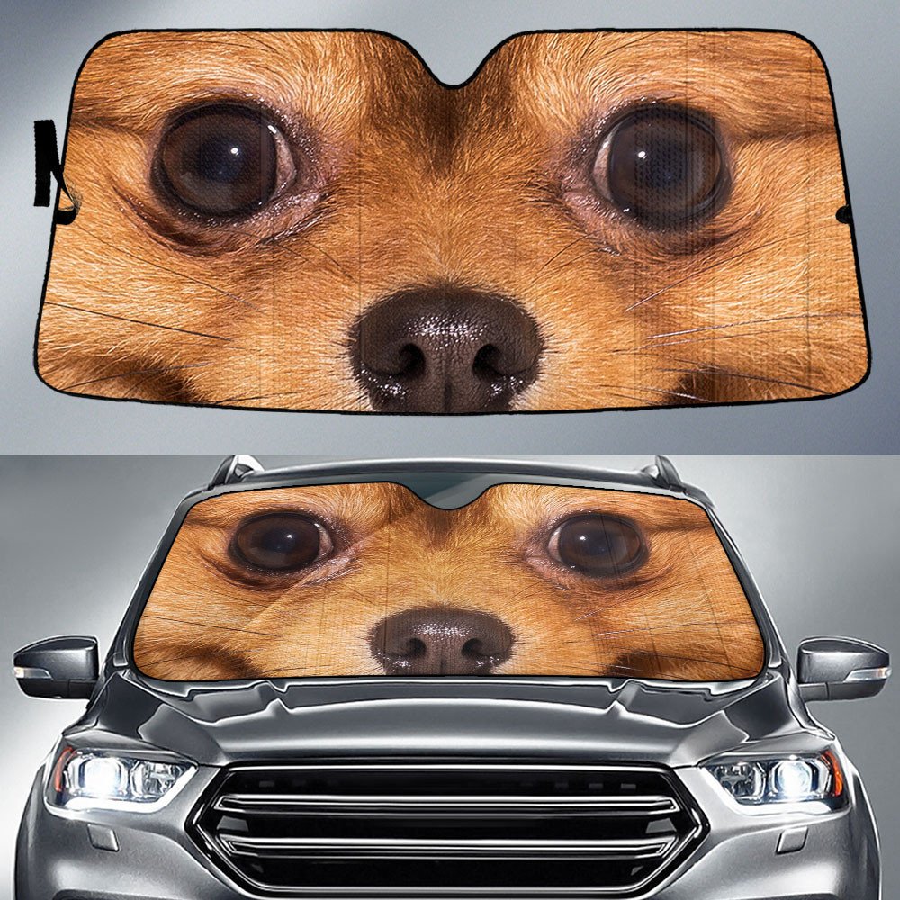 Pomeranian's Eyes-2-Beautiful Dog Eyes Car Sun Shade Cover Auto Windshield