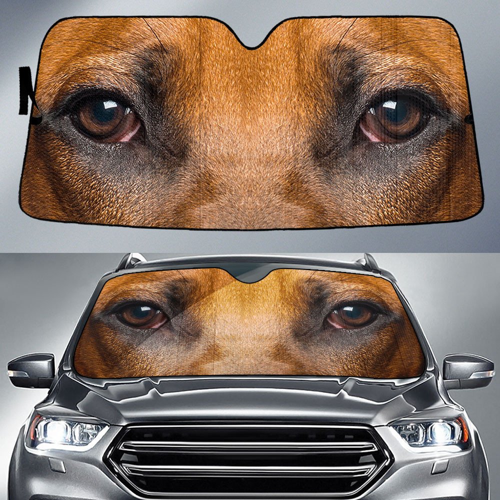 Rhodesian Ridgeback's Eyes-2-Beautiful Dog Eyes Car Sun Shade Cover Auto Windshield