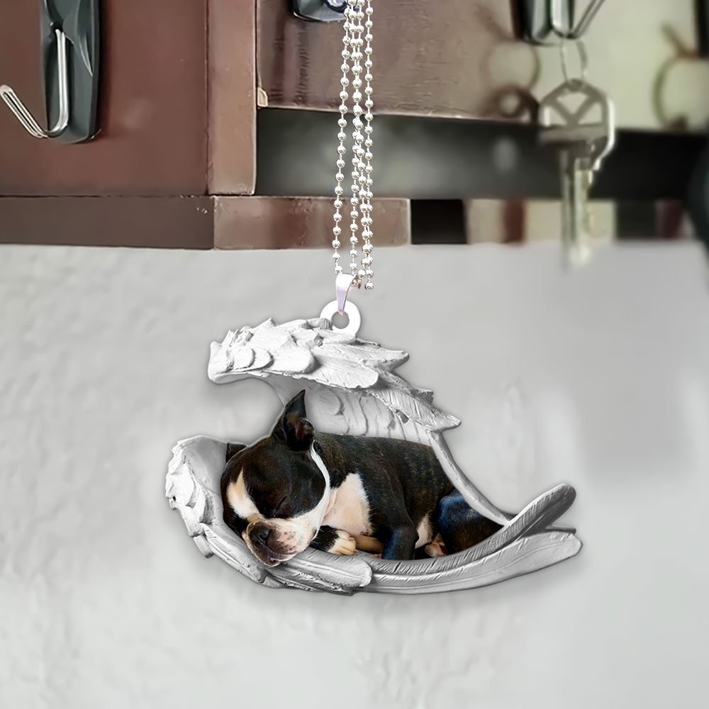 Boston Terrier-2022 Sleeping Angel-Two Sided Ornament