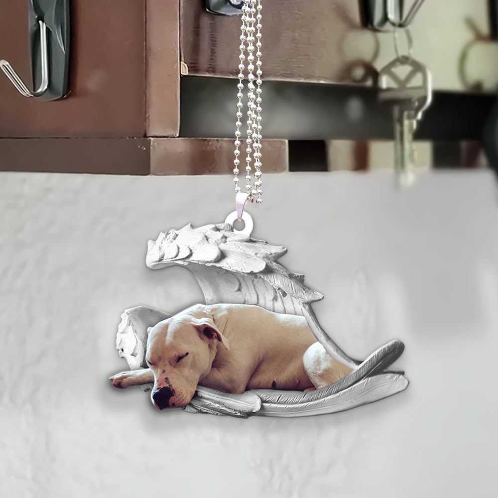 Dogo Argentino-2022 Sleeping Angel-Two Sided Ornament