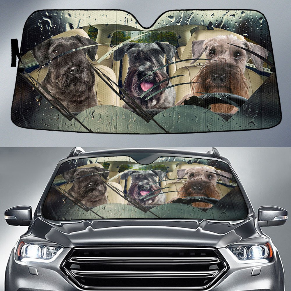 Cesky Terrier-Rainy Driving Car Sun Shade Cover Auto Windshield