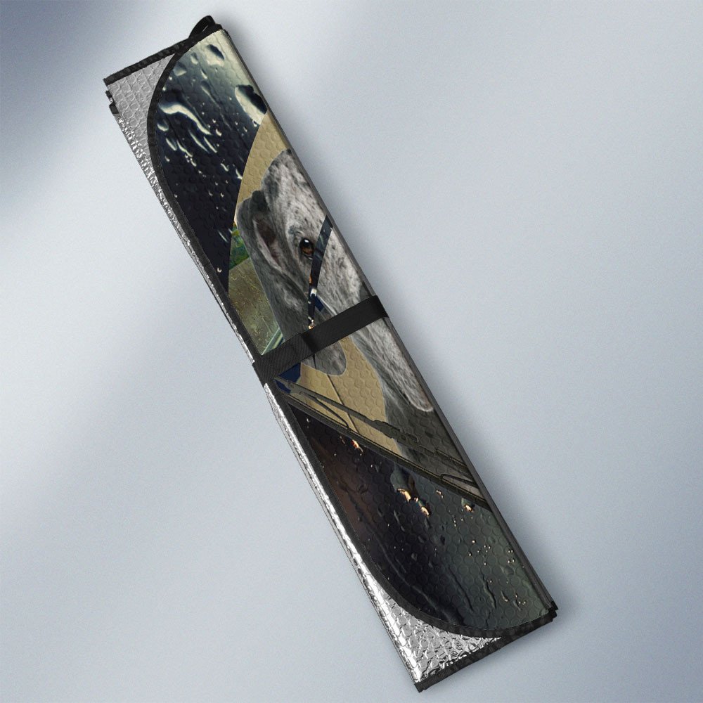 Great Dane-Rainy Driving Car Sun Shade Cover Auto Windshield