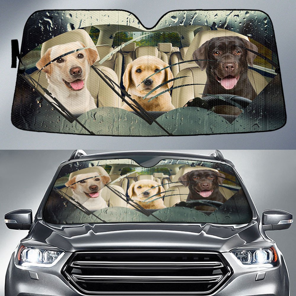 Rainy Driving Car Sun Shade Cover Auto Windshield