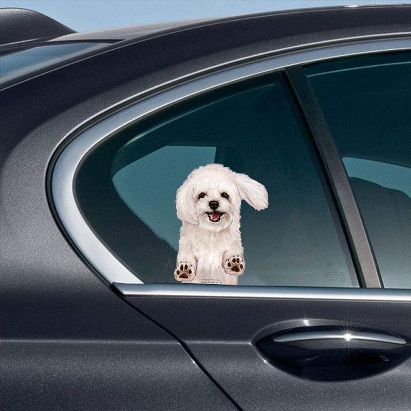 Maltipoo-On The Move Window Car Sticker