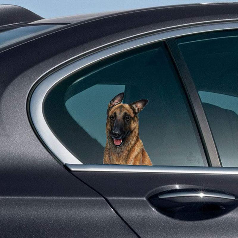 Belgian Malinois-On The Move Window Car Sticker