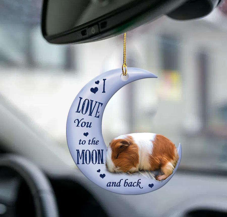 Guinea pig moon back guinea pig lover two sided ornament