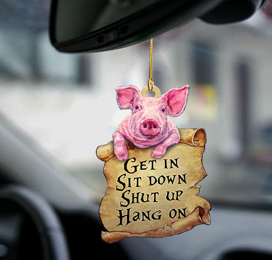 Pig get in pig lover two sided ornament