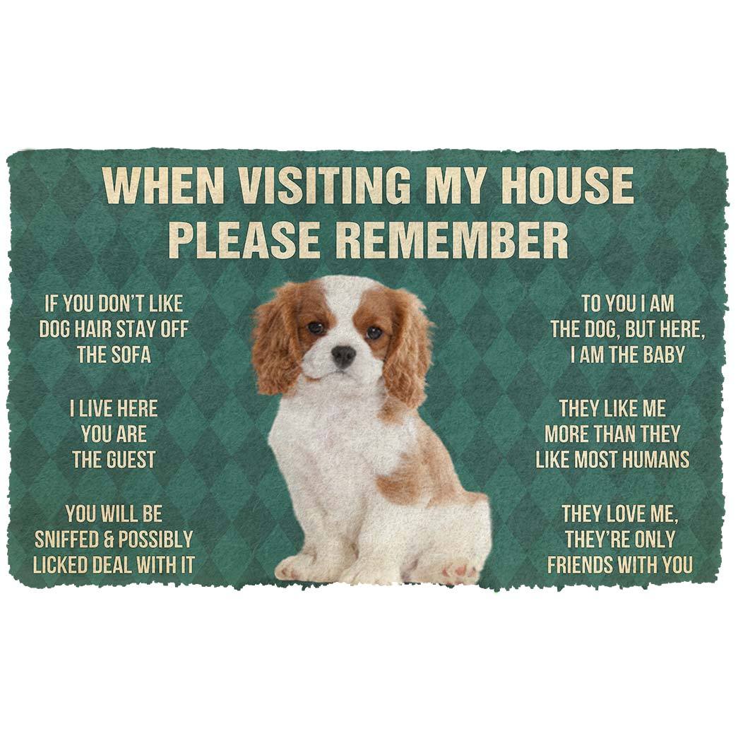 Noodever 3D Please Remember Cavalier King Charles Spaniel Dogs Puppy Dogs House Rules Doormat