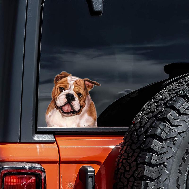 English Bulldog-On The Move Window Car Sticker