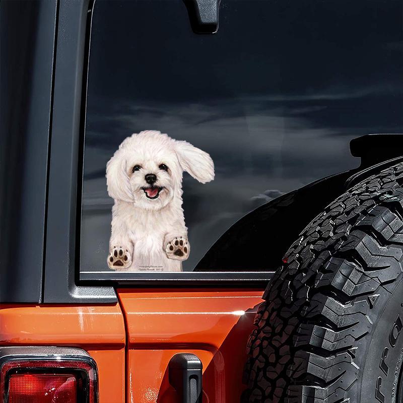 Maltipoo-On The Move Window Car Sticker