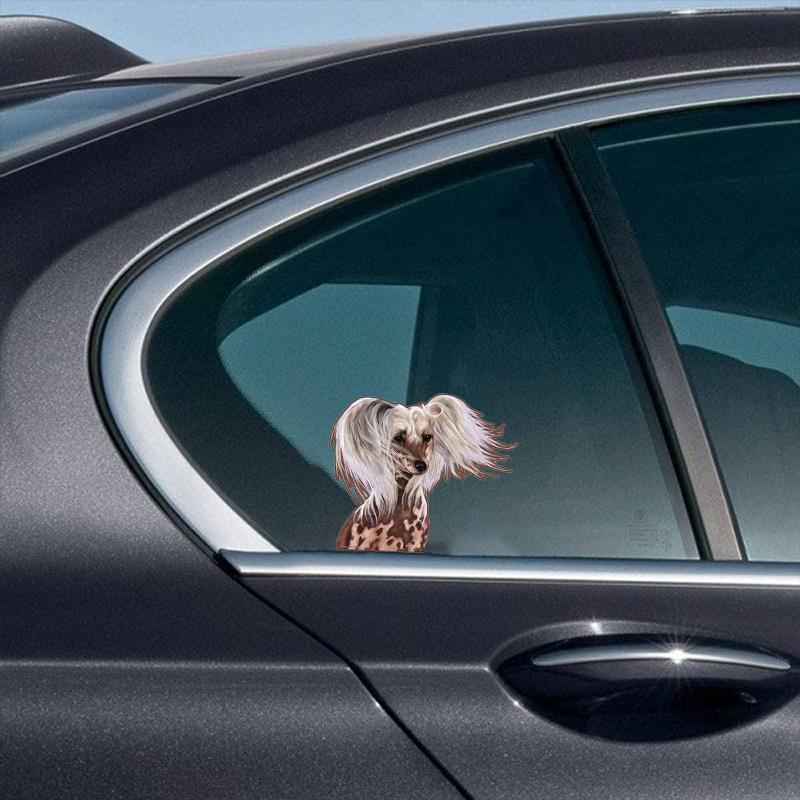 Chinese Crested-On The Move Window Car Sticker