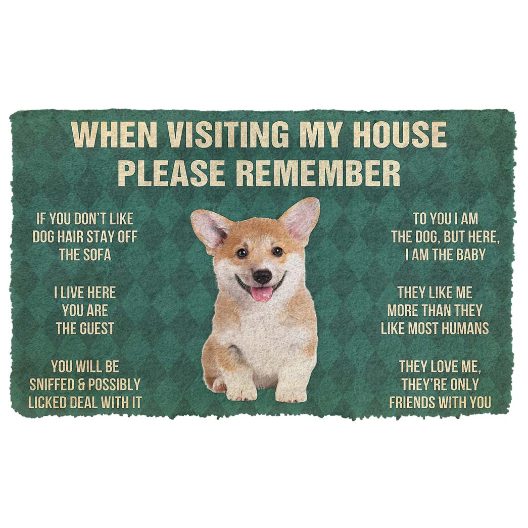 Noodever 3D Please Remember Corgi Puppy Dogs House Rules Doormat